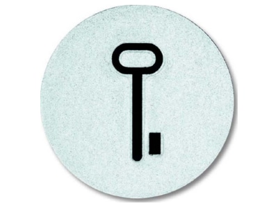 Produktbild Busch Jaeger 2144 TR Tastersymbol Tuer
