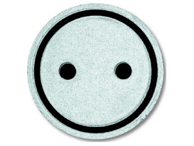 Produktbild Busch Jaeger 2144 ST Tastersymbol Steckdose