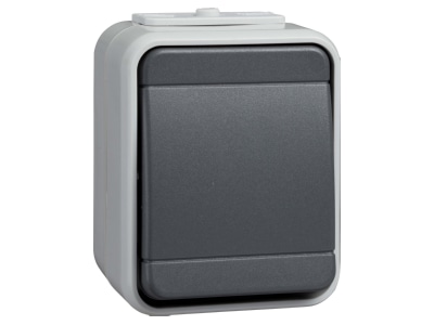Product image 2 Elso 442109 Push button 1 make contact  NO  grey
