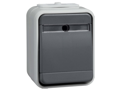 Product image 1 Elso 442129 Push button 1 make contact  NO  grey
