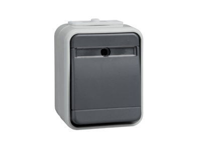 Product image 2 Elso 442129 Push button 1 make contact  NO  grey