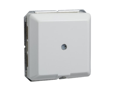 Product image 1 Elso 203024 Appliance connection box flush mounted
