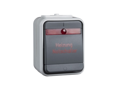 Product image 1 Elso 441229 2 pole switch surface mounted grey
