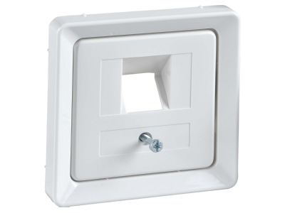 Product image 1 Elso 206404 Central cover plate UAE IAE  ISDN 
