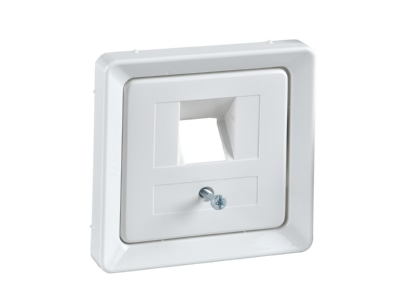 Product image 2 Elso 206404 Central cover plate UAE IAE  ISDN 