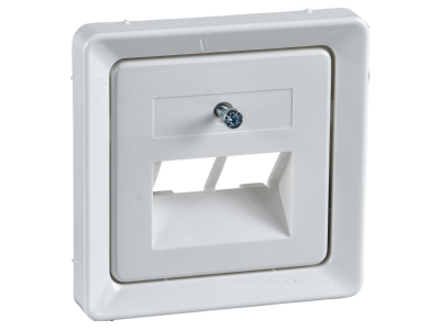 Product image 2 Elso 206414 Central cover plate UAE IAE  ISDN 