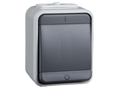 Product image 1 Elso 441209 2 pole switch surface mounted grey
