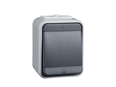 Product image 2 Elso 441209 2 pole switch surface mounted grey