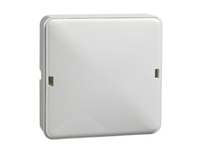 Product image 1 Elso 522004 Appliance connection box surface mounted
