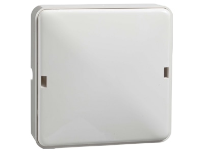 Product image 2 Elso 522004 Appliance connection box surface mounted
