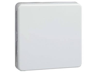 Product image 1 Elso 233604 Cover plate for switch push button white
