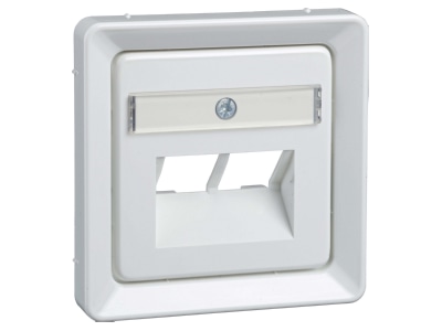 Product image 1 Elso 206534 Central cover plate UAE IAE  ISDN 
