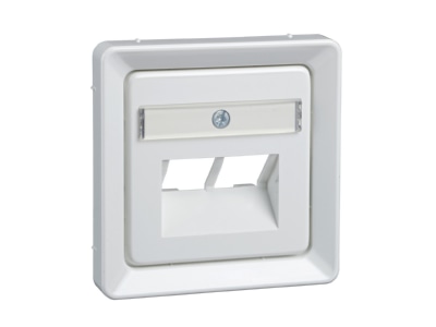 Product image 2 Elso 206534 Central cover plate UAE IAE  ISDN 