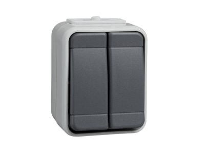 Product image 2 Elso 442509 Push button 2 make contacts  NO  grey