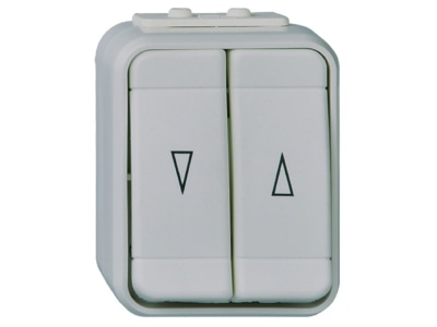 Product image 1 Elso 442809 1 pole switch for roller shutter grey
