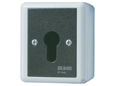 Produktbild Jung 833 18 G Schluesselschalter Taster 1 pol 