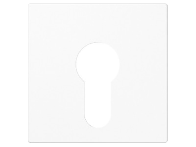 Produktbild Jung A 525 PL WW Abdeckung aws fuer Schluesselschalt 
