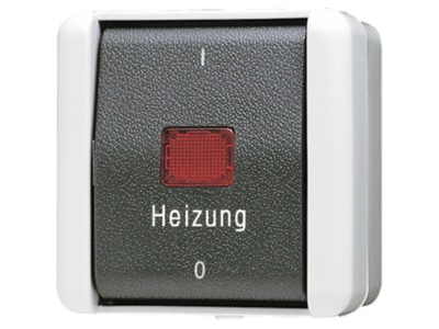 Produktbild Jung 802 HW Heizung Notschalter Aus 2 pol 
