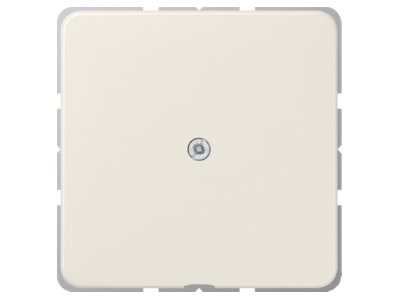 Product image Jung 590 A Basic element with central cover plate
