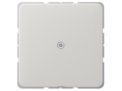 Produktbild Jung CD 590 A LG Leitungsauslass lgr mit Zugentlastung