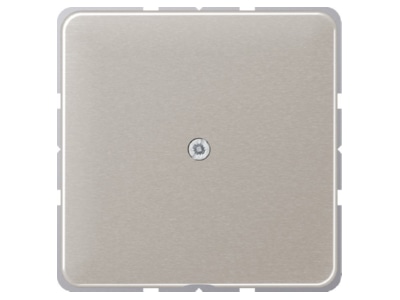 Product image Jung CD 590 A PT Basic element with central cover plate
