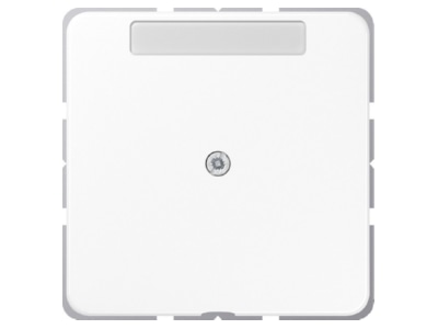 Product image Jung CD 590 NAA WW Basic element with central cover plate
