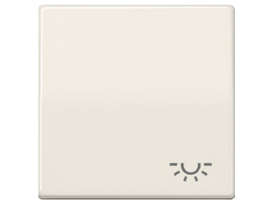 Produktbild Jung ABAS 591 L Wippe Symbol LICHT ws fuer Schalter Taster