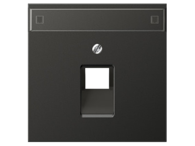 Product image Jung AL 2969 1 NAUA AN Plate UAE IAE  ISDN 
