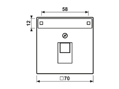 Dimensional drawing Jung AL 2969 1 NAUA AN Plate UAE IAE  ISDN 