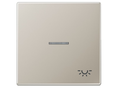 Produktbild Jung ES 2990 KO5L Wippe Sym LICHT Lichtl ed fuer beleuchtb Taster