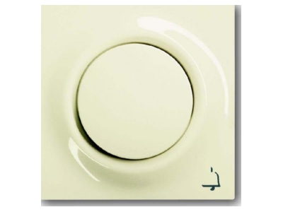 Product image Busch Jaeger 1789 KI 72 Cover plate for switch push button
