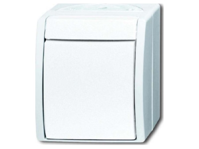 Product image Busch Jaeger 2601 7 W 54 Intermediate switch  4 way switch 
