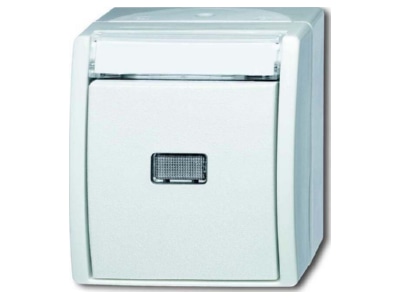 Produktbild Busch Jaeger 2621 WN 54 201 Taster Schliesser 1 pol 