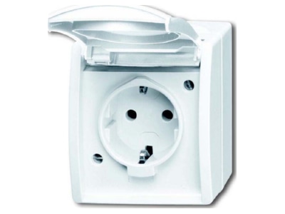 Product image Busch Jaeger 20 EWN 54 Socket outlet  receptacle 
