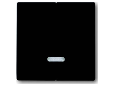 Produktbild Busch Jaeger 6545 81 Bedienelement mit Glimmlampe