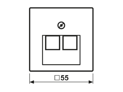 Ma�zeichnung Jung A 569 2 BFPLUA Abdeckung ws fuer IAE UAE Dose