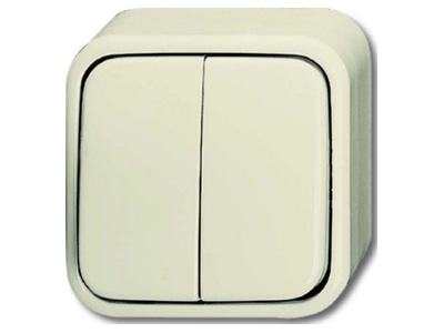 Product image Busch Jaeger 2601 5 AP Series switch surface mounted
