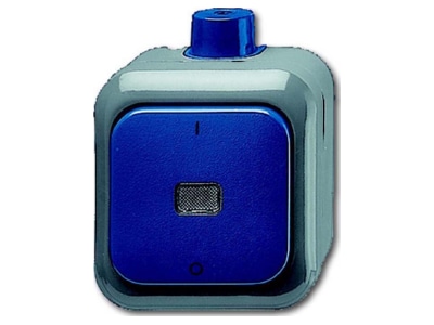 Product image Busch Jaeger 2601 2 WDI 2 pole switch surface mounted blue
