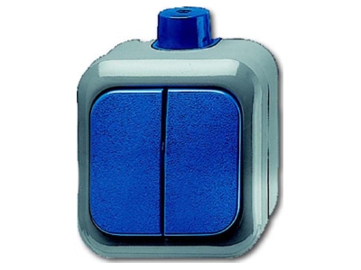 Product image Busch Jaeger 2601 5 WDI Series switch surface mounted blue
