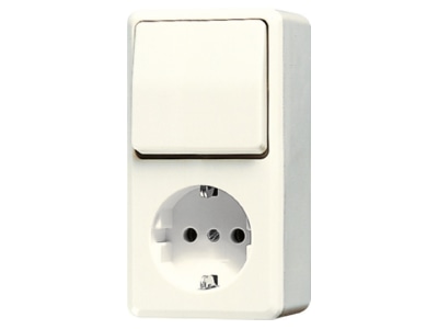 Product image Jung 676 A Combination switch wall socket outlet
