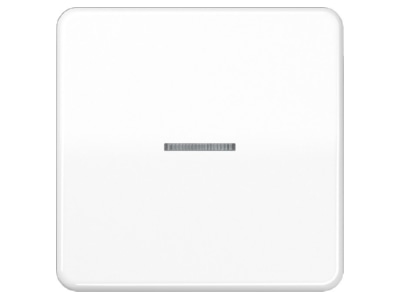 Produktbild Jung CD 590 KO5 WW Wippe Lichtleiter aws fuer Taster