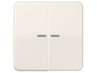 Produktbild Jung CD 595 KO5 Wippe Lichtleiter ws fuer Taster
