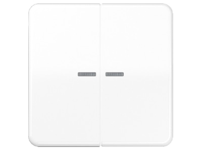 Produktbild Jung CD 595 KO5 WW Wippe Lichtleiter aws fuer Taster