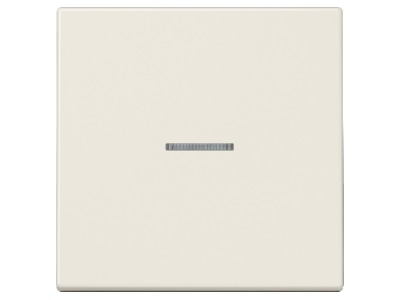 Produktbild Jung LS 990 KO5 Wippe Lichtleiter ws fuer Taster