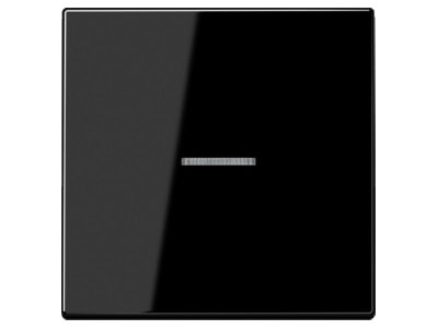 Produktbild Jung LS 990 KO5 SW Wippe Lichtleiter ws fuer Taster