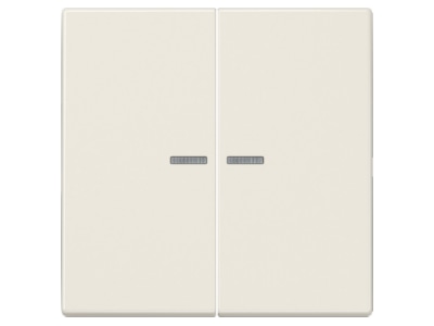 Produktbild Jung LS 995 KO5 Wippe Lichtleiter ws fuer Taster