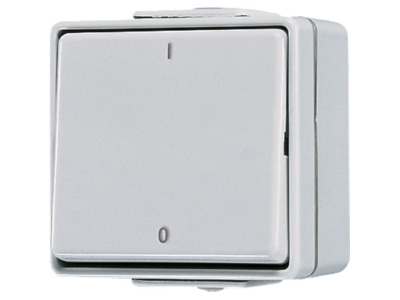 Product image Jung 602 W 2 pole switch surface mounted grey
