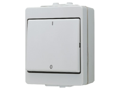 Product image Jung 603 W 3 pole switch surface mounted grey
