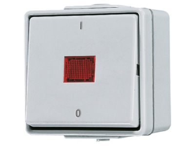 Product image Jung 602 KOW 2 pole switch surface mounted grey
