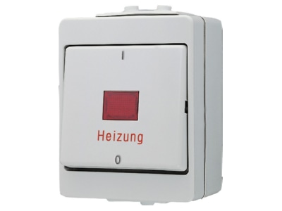 Product image Jung 603 HW 3 pole switch surface mounted grey
